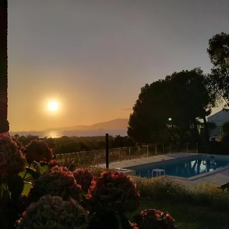 Corsicadream Barbicaja, Superbe Dans Villa, Vue Panoramique Mer, Piscine, Proche Porticcio Apartment *