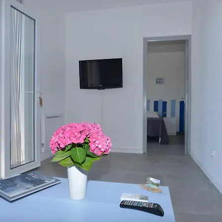 Corsicadream Barbicaja, Superbe Dans Villa, Vue Panoramique Mer, Piscine, Proche Porticcio *