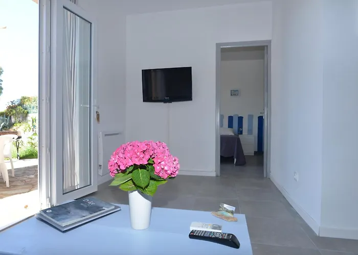 Corsicadream Barbicaja, Superbe Dans Villa, Vue Panoramique Mer, Piscine, Proche Porticcio *